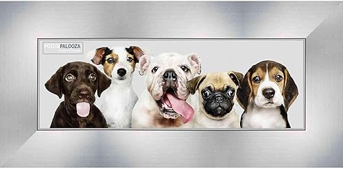 Poster Palooza 16x40 Contemporary Silver Complete Wood Panoramic Frame with UV Acrylic, Foam Board Backing, & Hardware