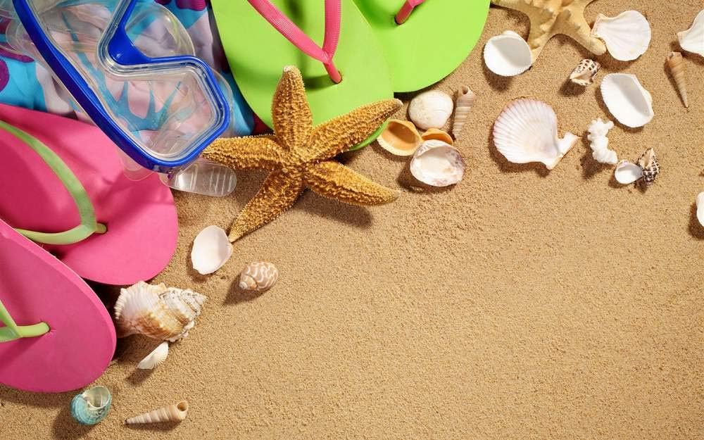 ビーチ ヒトデ 貝殻 砂 風景の写真 キャンバス印刷アートポスター 33cmx50cm 驚きの値段