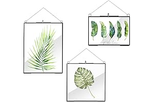 Pressed Flower Glass Frame: Capture Nature's Beauty