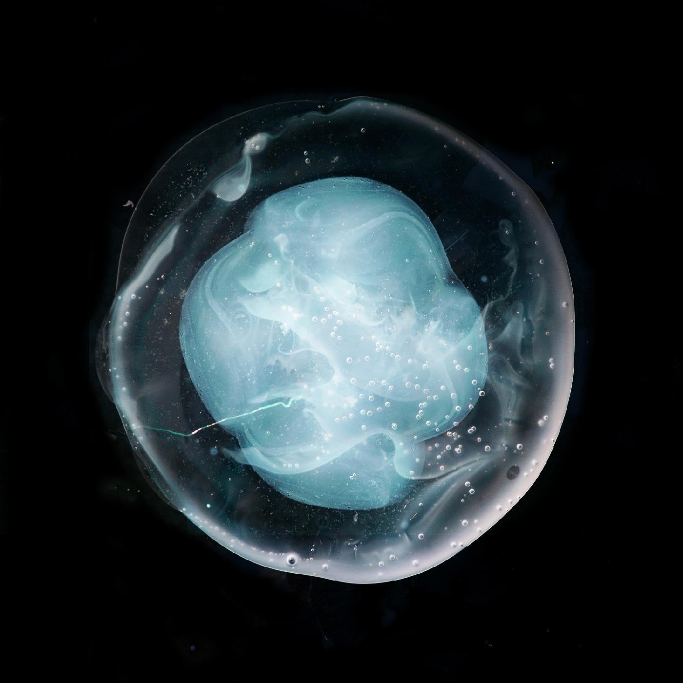 Ninja Tune | Vinyl LP – The Undivided Five (Heavy) mit MP3