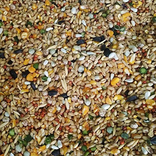 Zone Marketing Bird Food for All Kinds of Birds 1000 Gms (Mixed and Crushed Grains),All Life Stages