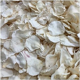 Slightly Imperfect Pathway Ivory Rose Petals 15 Cups Wedding Petals Eco-...