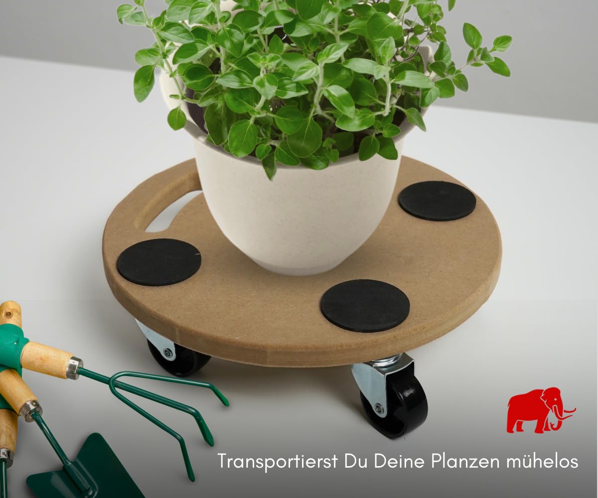 PROREGAL Profi Transportroller Hercules 30x30 cm Rund Schwerlast bis 100 kg mit 4 Gummirollen & Griff, MDF Holzplatte, 8er Set Rollbrett für Möbel Möbelroller Transporthilfe für Umzug Pflanzen