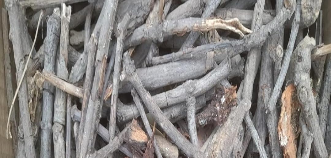 Sumit Enterprises Mango Wood Hawan Sticks for Pooja aam ki lakdi | Aam ki Lakdi, Natural Wood, Hawan Samagri, Pooja Use-picture-45