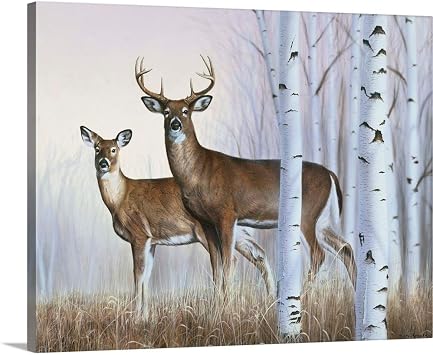 CANVAS ON DEMAND Deer in Birch Woods Canvas Wall Art Print by Rusty Frentner, Contemporary, Home Decor, Buck, Cervine Artwork,24" x20in