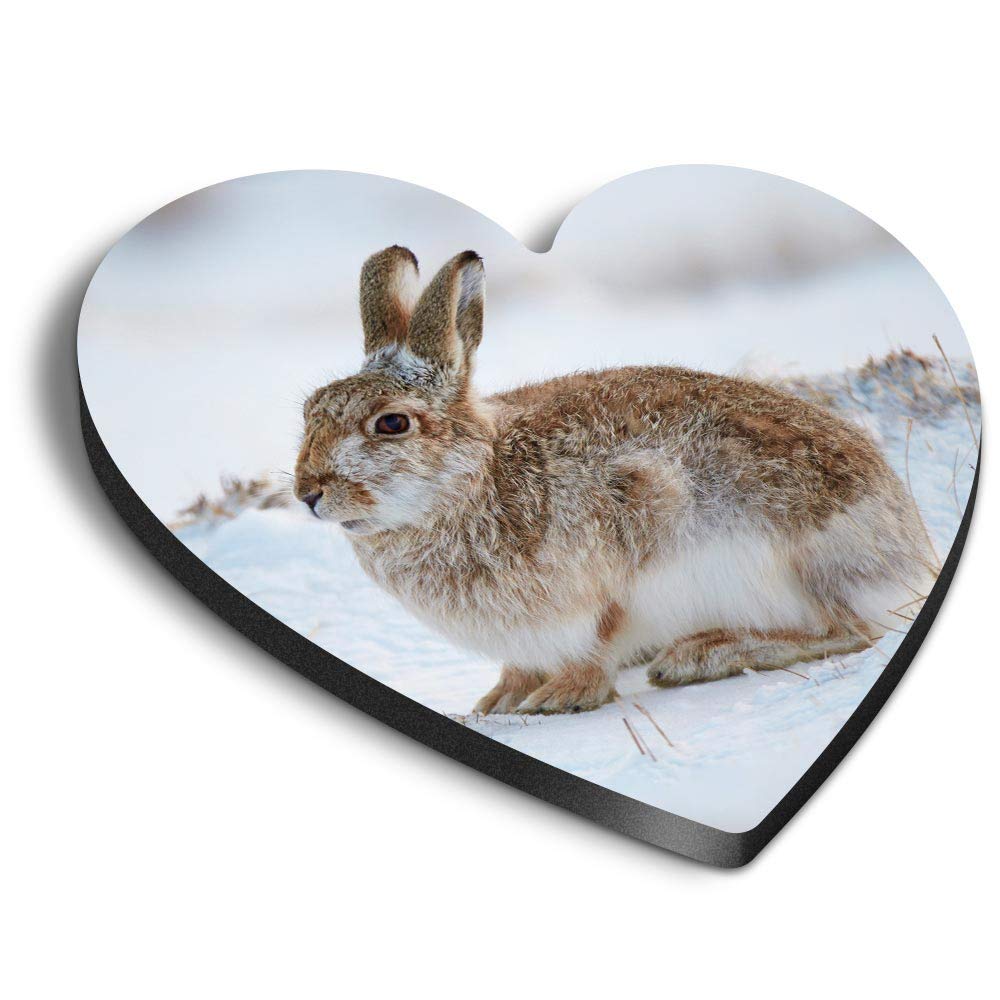 Destination Vinyl Ltd Multicolor 1 X Heart Mdf Magnets - Mountain Hare Cairngorms Scotland Rabbit 45796
