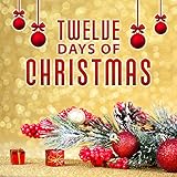 Twelve Days of Christmas – Traditional Carols, Family Holidays, Colourful Christmas Tree, White Christmas, Happy Time, Beautiful Gifts, Christmas Songs