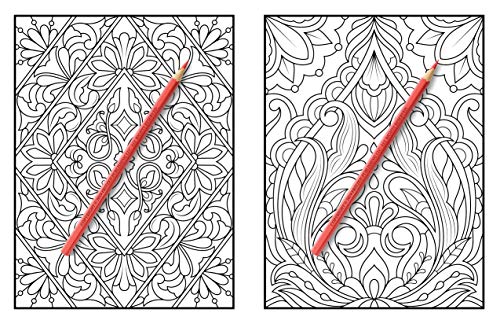 100-Amazing-Patterns-An-Adult-Coloring-Book-with-Fun-Easy-and-Relaxing-Coloring-Pages