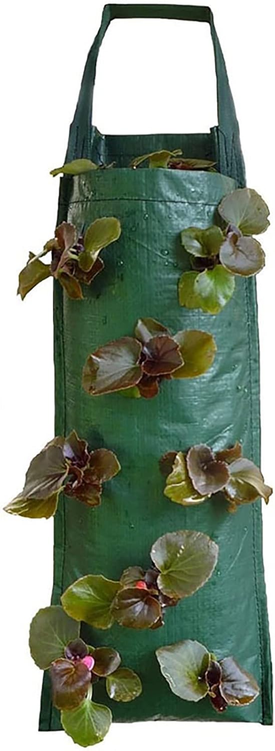 Hanging Strawberry Grow Bags Upsidedown Patio Garden