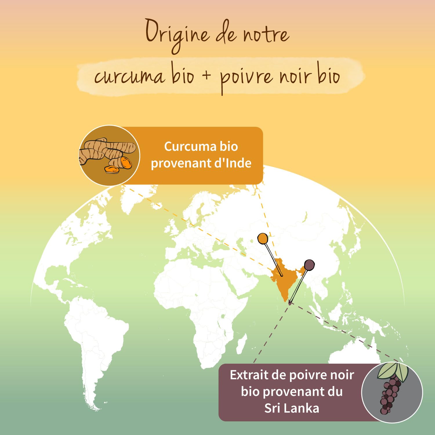 Curcuma BIO Vegavero® | Dosage Élevé | Avec Poivre Noir (Haute Absorption Curcumine) | Anti Inflammatoire | SANS ADDITIFS et VEGAN | 100% Biologique
