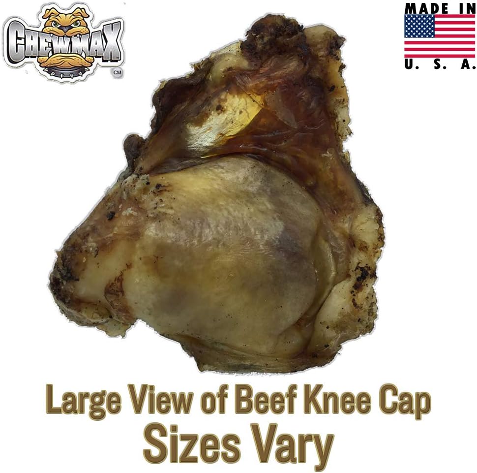 10 Pack 100% Natural Beef Knee Caps Made in The USA