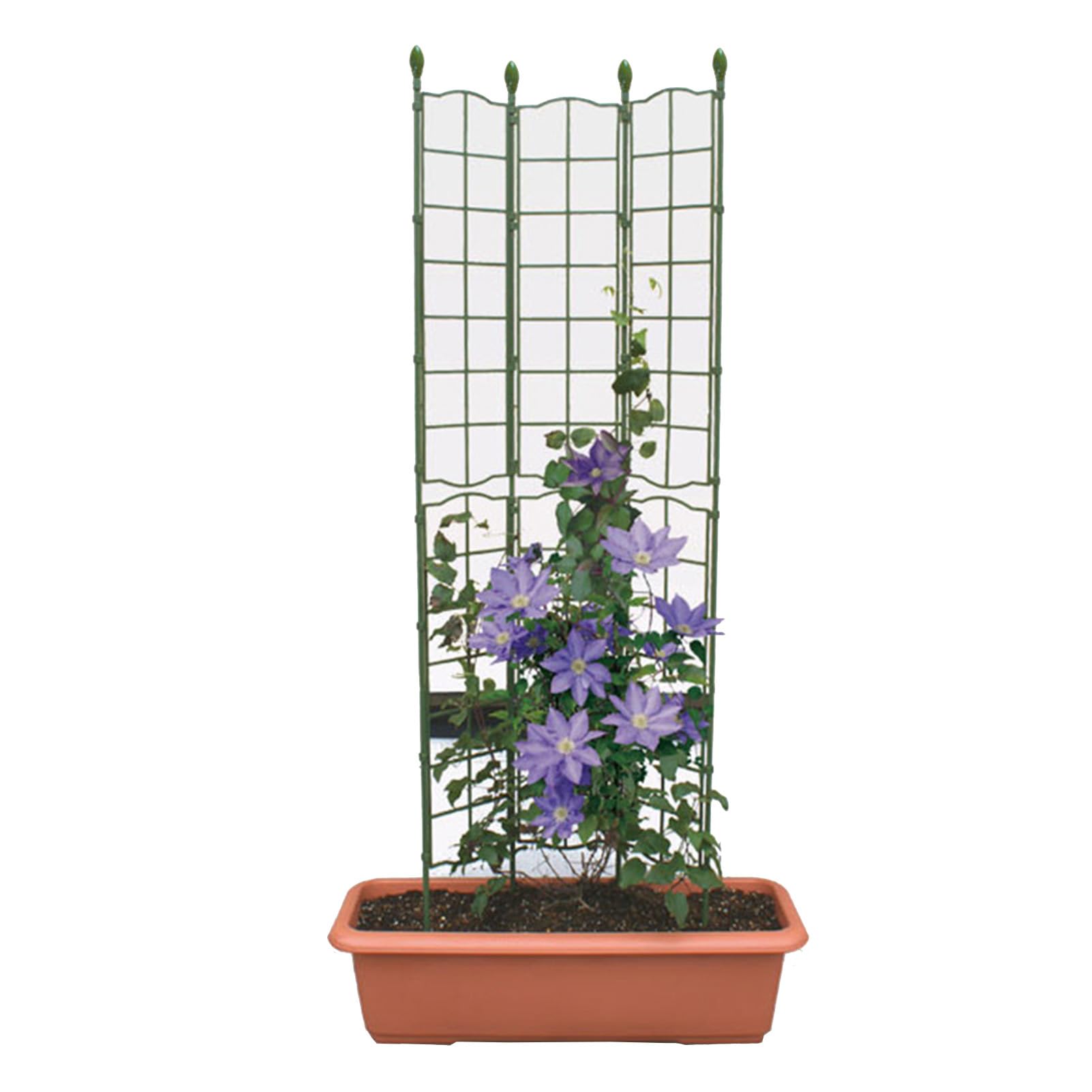 Garden Trellis Network, Trellis per Arrampicata sul Giardinaggio Interno ed Esterno Varie Combinazioni Adatte a Sostegno di Piante da Arrampicata all'aperto, Rose, Verdure, Viti, Fiori