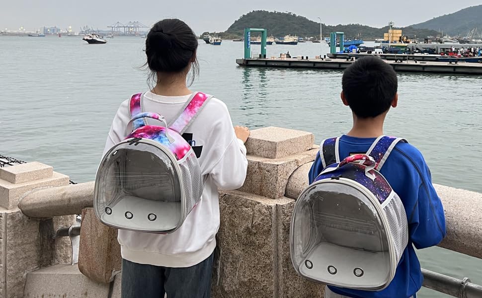 guinea pig carrier backpack bearded dragon backpack reptile lizard clear space capsule bubble astronaut window backpack carrier for bunny hedgehog rabbit hamster galaxy blue