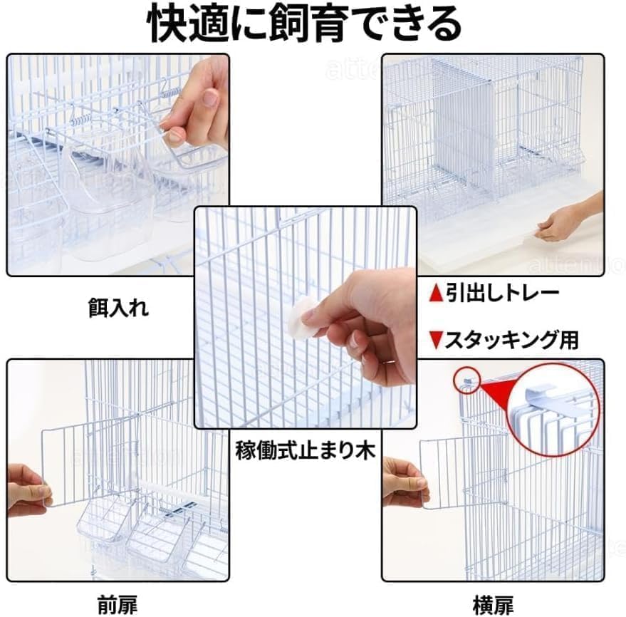 Amazon | 鳥かご 仕切り付き 2羽 (高さ40×幅59×奥行き26cm) 鳥小屋