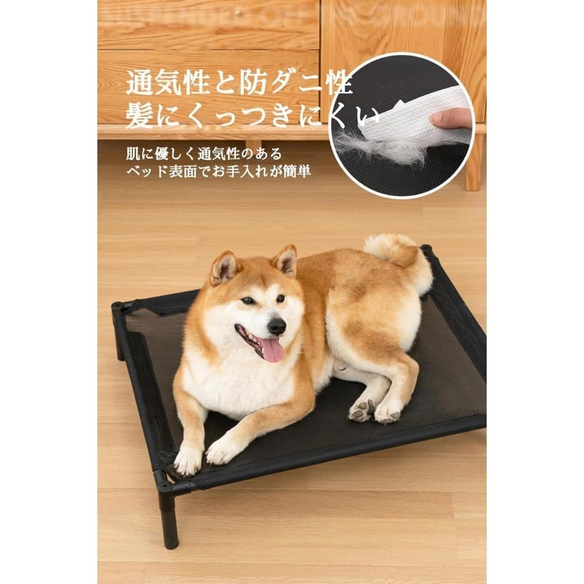 Amazon | BQQB 犬用ベッド 噛んでも破れない 小型犬 耐噛み 破れない