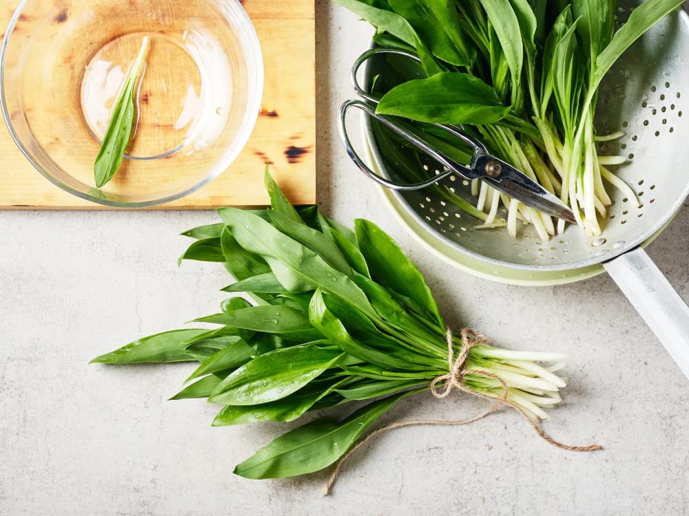 Taudì Conserve Pesto D'Ail Orsino Sauvage – Délice Sicilien 100% Naturel, Artisanal, Ingrédients Sélectionnés Pour Pâtes, Bruschettas & Plus, 180g en Pot De Verre Premium
