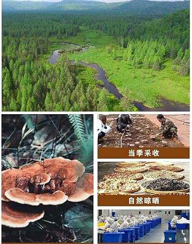 Miniatura 2 de WonderLand Herbs Duan-Wood LINGZHIGanoderma LucidumReishi Slice 2.2lbs