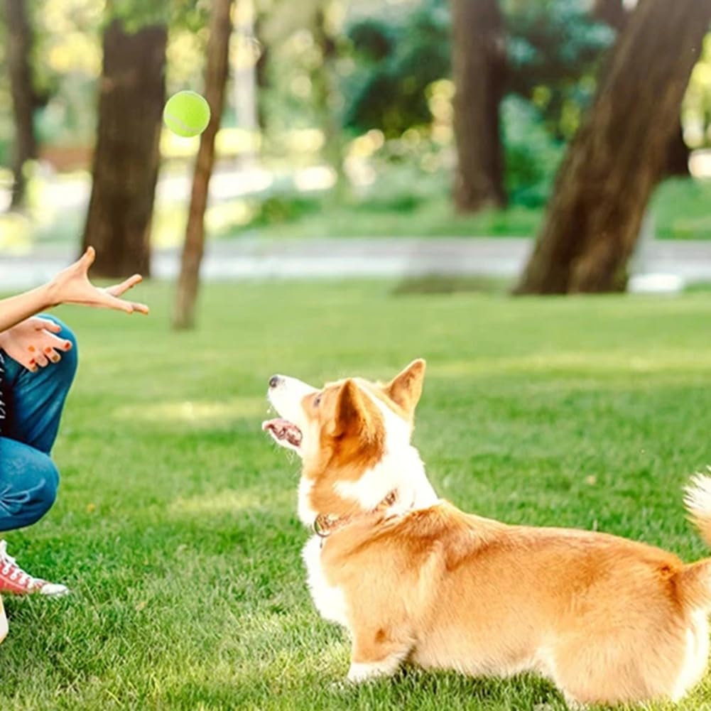 Máquina Interactiva Divertida Catapulta Interactiva Divertida Lanzador de Pelotas de Tenis para Perros Recargable Persigue A Perros Juguetes Automáticos A