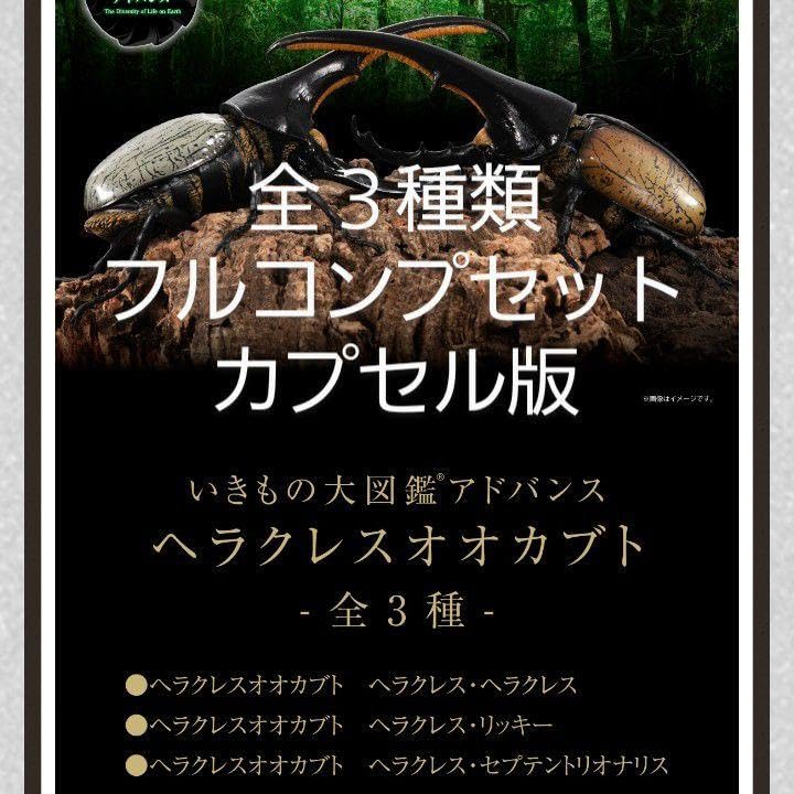Amazon.co.jp: ヘラクレスオオカブト いきもの大図鑑アドバンス