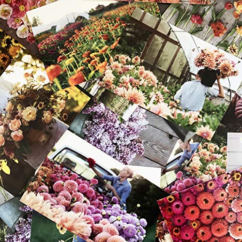 Floret Farm's Cut Flower Garden: 100 Kartpostal (Çiçekli Kartpostallar, Botanik Hediyeler)