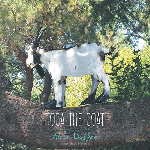 Toga the Goat - Image 4