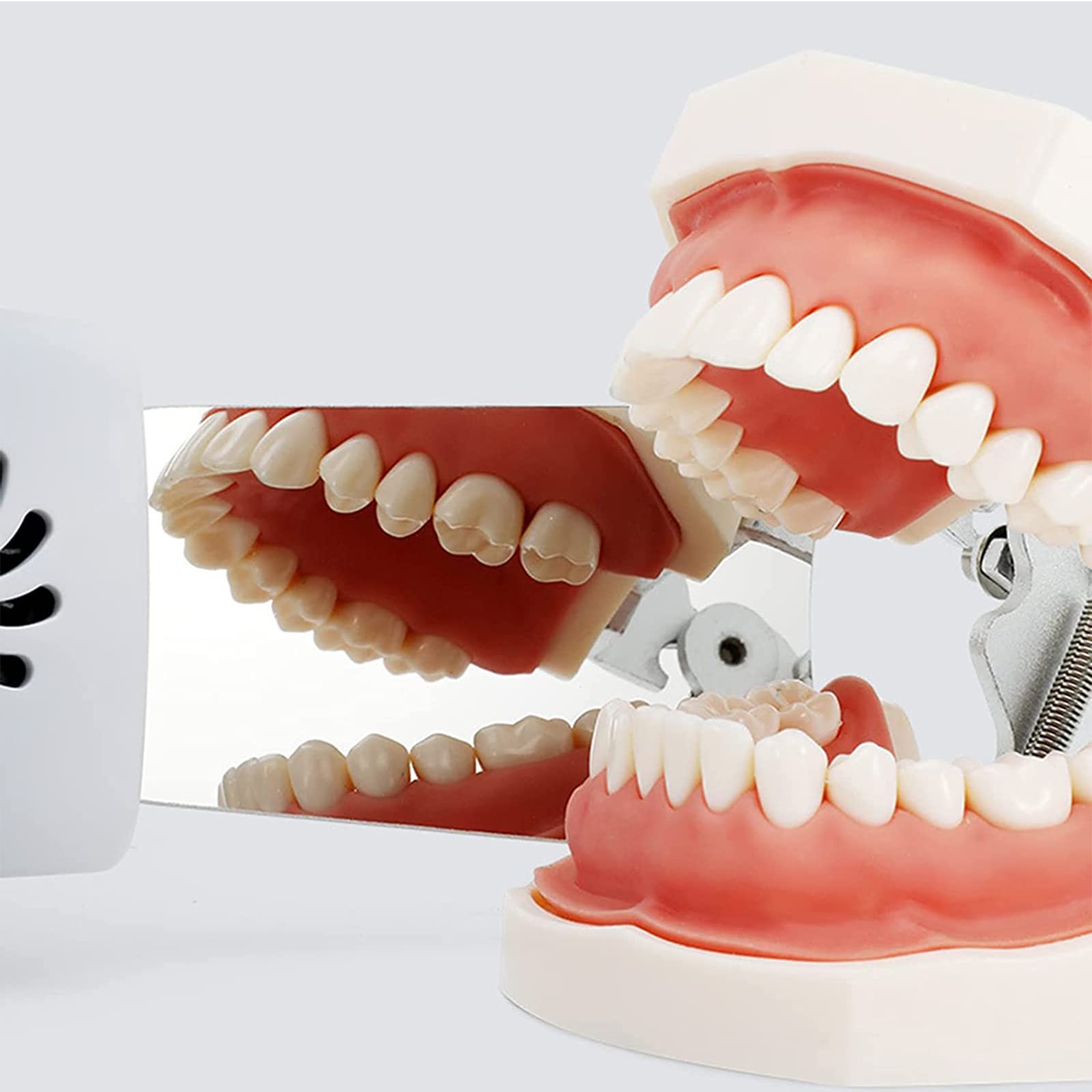 Specchio Fotografico occlusale Dentale per la Bocca, riflettore Fotografico intraorale in Vetro Placcato Dentale con 4 specchi intercambiabili, Specchio Fotografico riflettore ortodontico in Acciaio