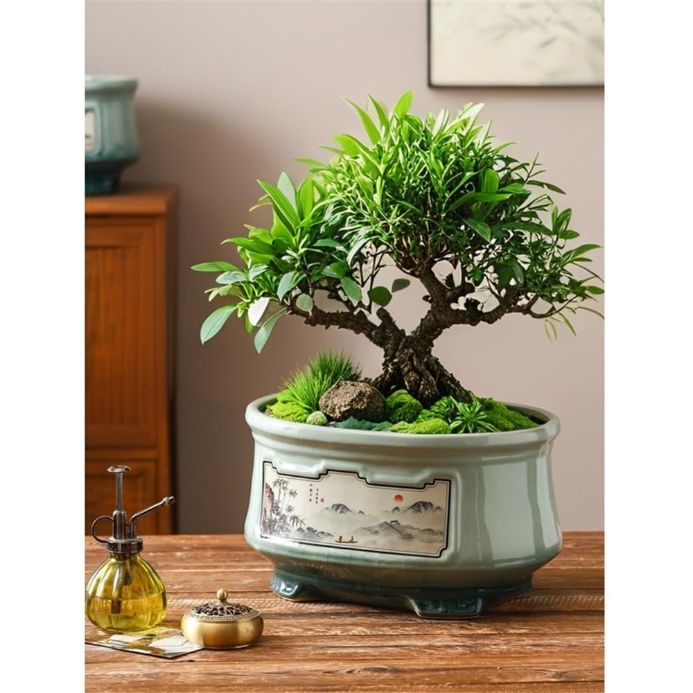 Doniczki Chińska owalna malowana duża doniczka na orchideę kaliber Bonsai z otworem drenażowym Donice na kwiaty(Mały)