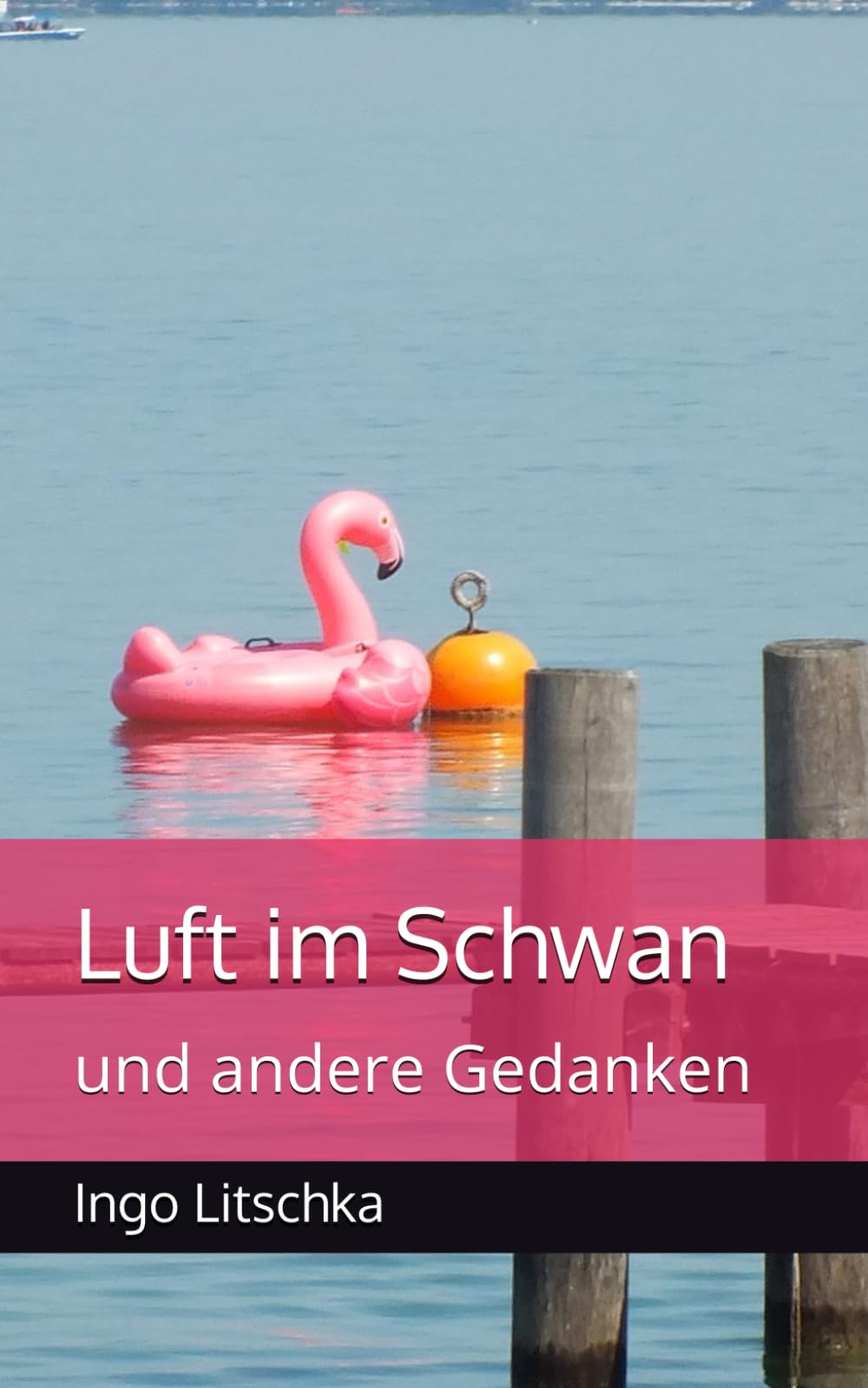 Luft im Schwan: und andere Gedanken
