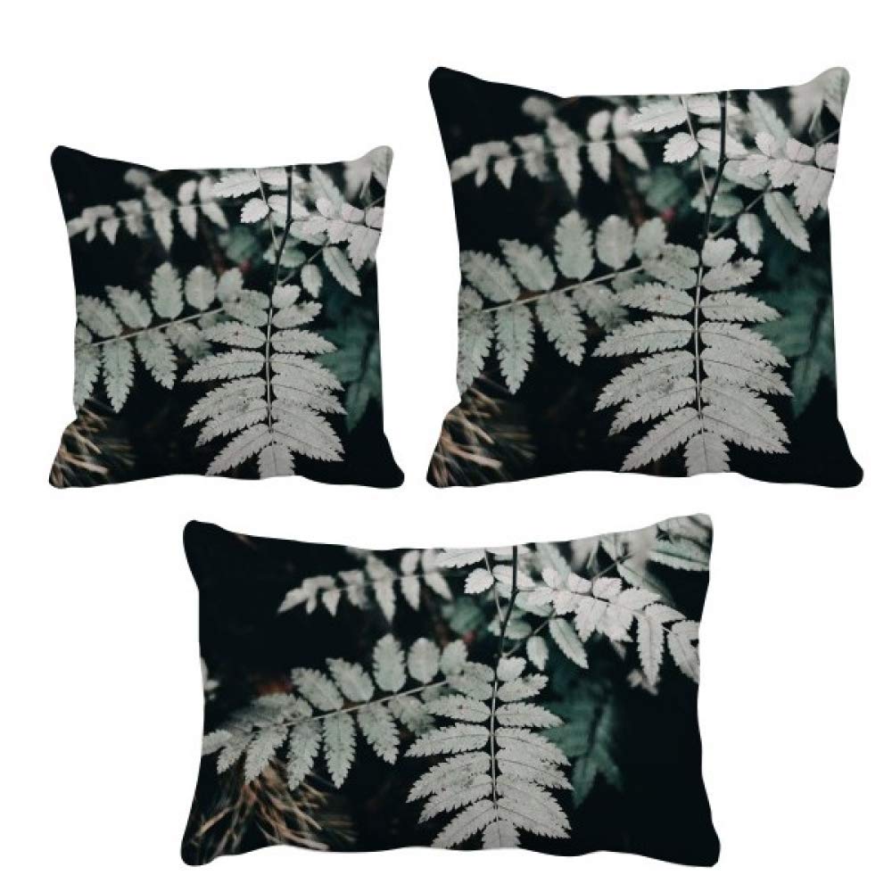 Housse de coussin pour photographie anti-reflet et décor de canapé