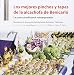 Produktbild Los mejores pinchos y tapas de la alcachofa de Benicarló : La cocina tradicional reinterpretada (La Manduca, Band 1)