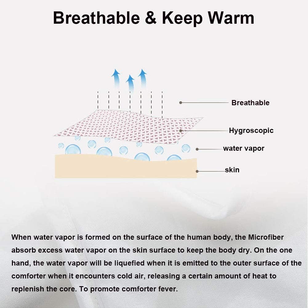 White All-Season Comforter Down Alternative Comforter and Duvet Insert - Box Stitched Comforter - Bedding Comforter (Queen (U.S. Standard))