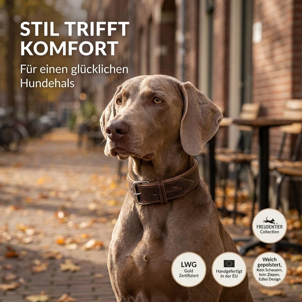 FREUDENTIER Hundehalsband aus Leder, Made in Holland, gefüttert & super komfortabel, hochwertiges breites Lederhalsband aus Vollnarbenleder, Model “Amstelpark” (47-57cm Halsumfang, Dark Chocolate)