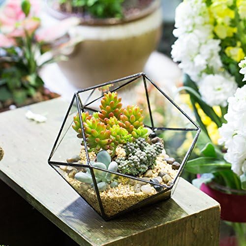 NCYP Modern Handmade Glass Geometric Plants Terrarium for Succulents, Balcony Window Sill Triangular Half Ball Bowl Shape Flower Pot, Clear Centerpiece, Wedding Decor Planter (No Plants Included)