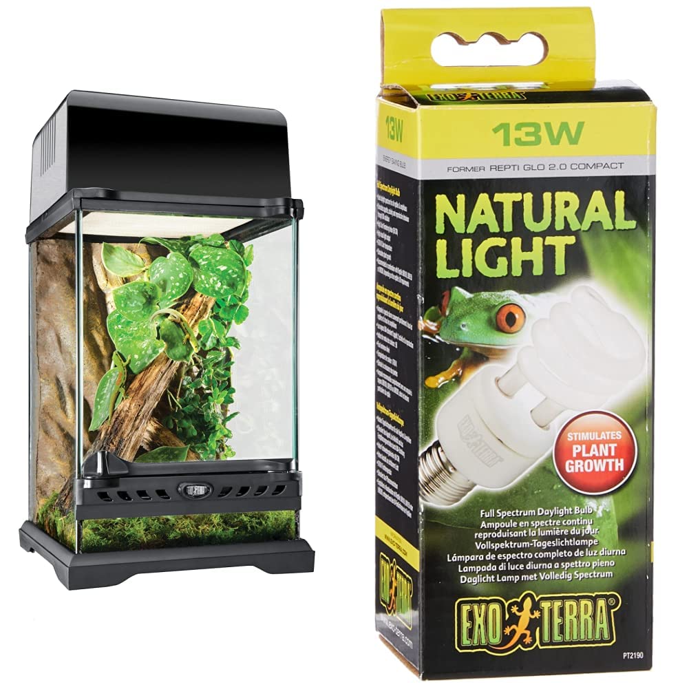 Exo Terra Terrarium aus Glas 20x20x30cm mit Front Belüftung & Natural Light Vollspektrum-Tageslichtlampe 13W E27