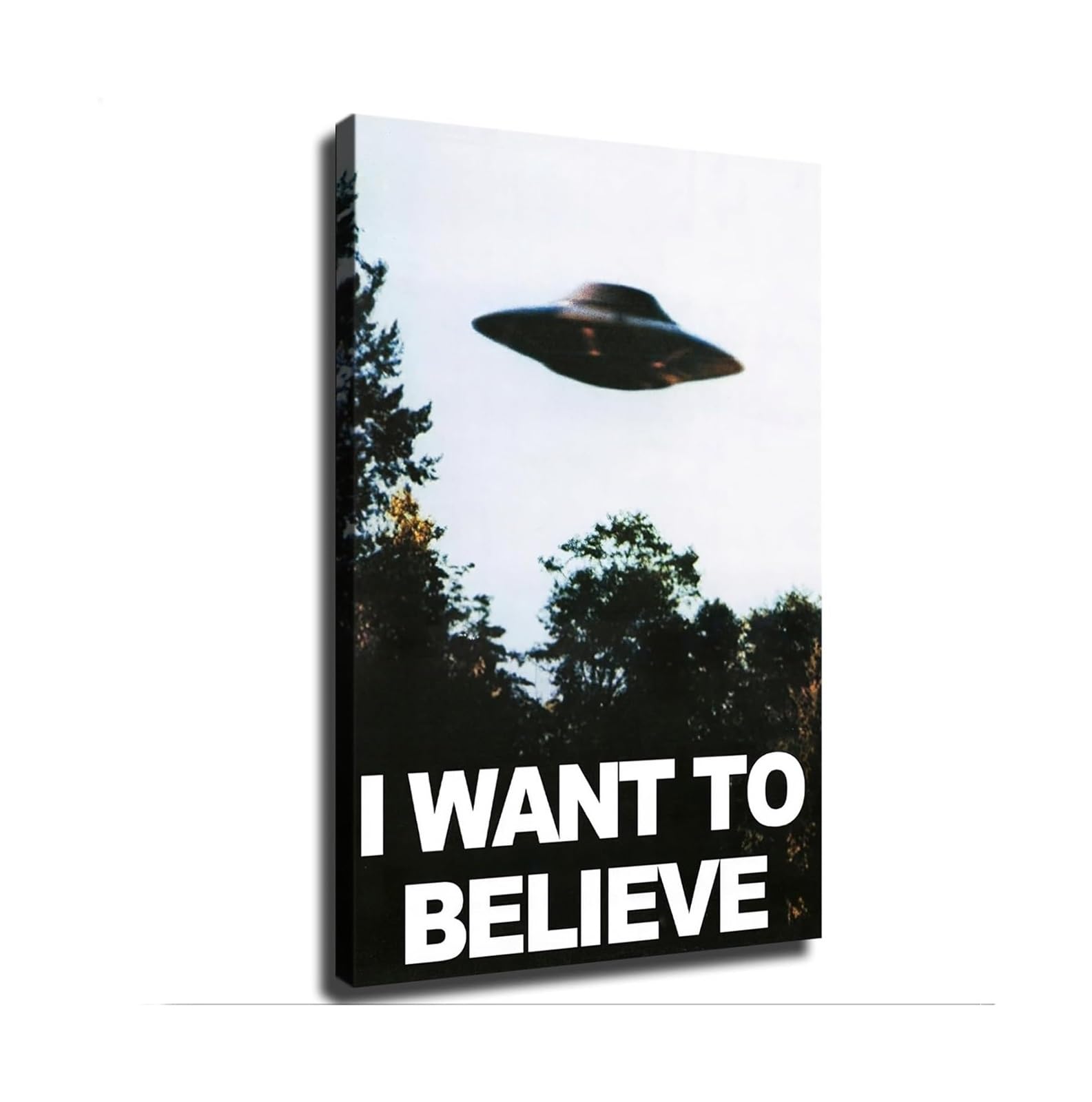 MDBJTCYZN Inspirational Wall-Art - I Want To Believe Quote with Flying Saucer Design for Sci-Fi Fan Home Decor(Unframed,12X18inch(30X45cm))
