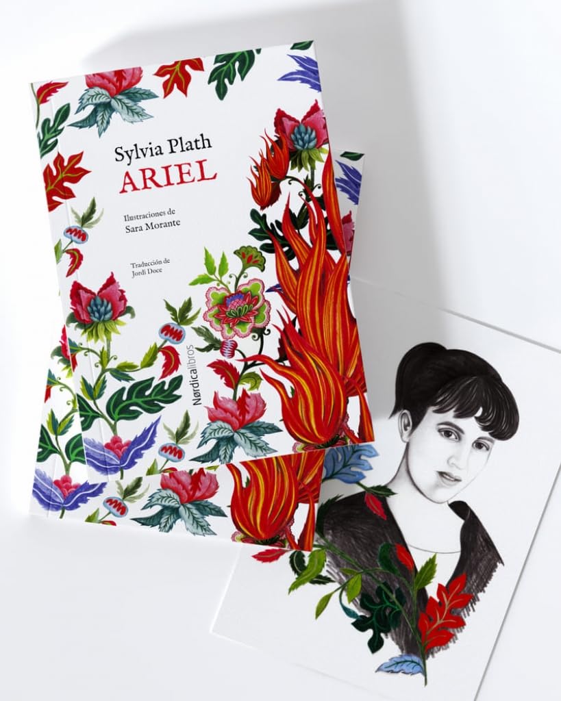 Ed. Especial Ariel (Ilustrados)