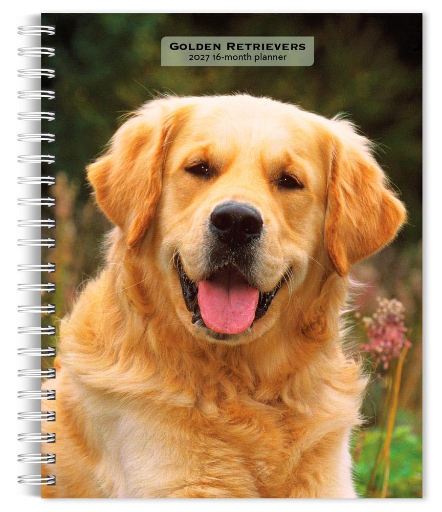 Golden Retrievers 2027 6 X 7.75 Inch Spiral-Bound Wire-O Weekly Engagement Planner Calendar New Full-Color Image Every Week