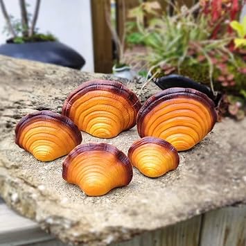 5pcs Artificial Ganoderma Statues, Resin Lingzhi Mushroom Decor for Garden