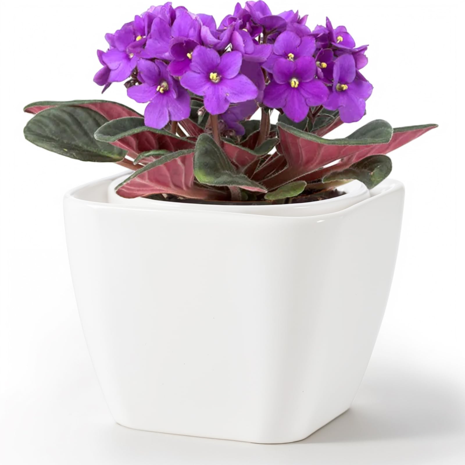 African Violet Flower Pot Easy Self Watering Planter, Self Watering Ceramic Planter Pots for Busy Plant Lovers, Automatically Absorb Appropriate