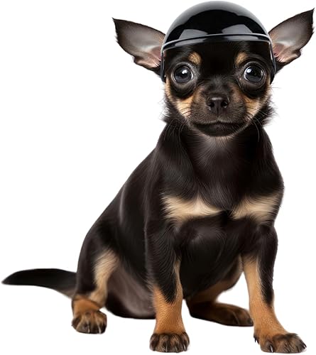 Enjoying Cascos de perro para razas de perros extra pequeñas, casco mixto de Chihuahua, casco de perro pequeño a pequeño, sombrero de gato con