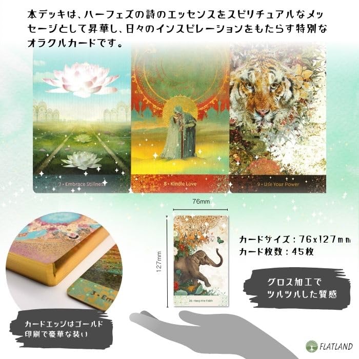 Amazon.co.jp: 【日本語解説書付き】ウィズダム オブ ハーフェズ