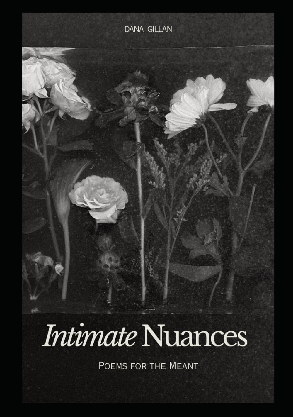 Intimate Nuances : Poems for the Meant      Hardcover – August 20, 2025