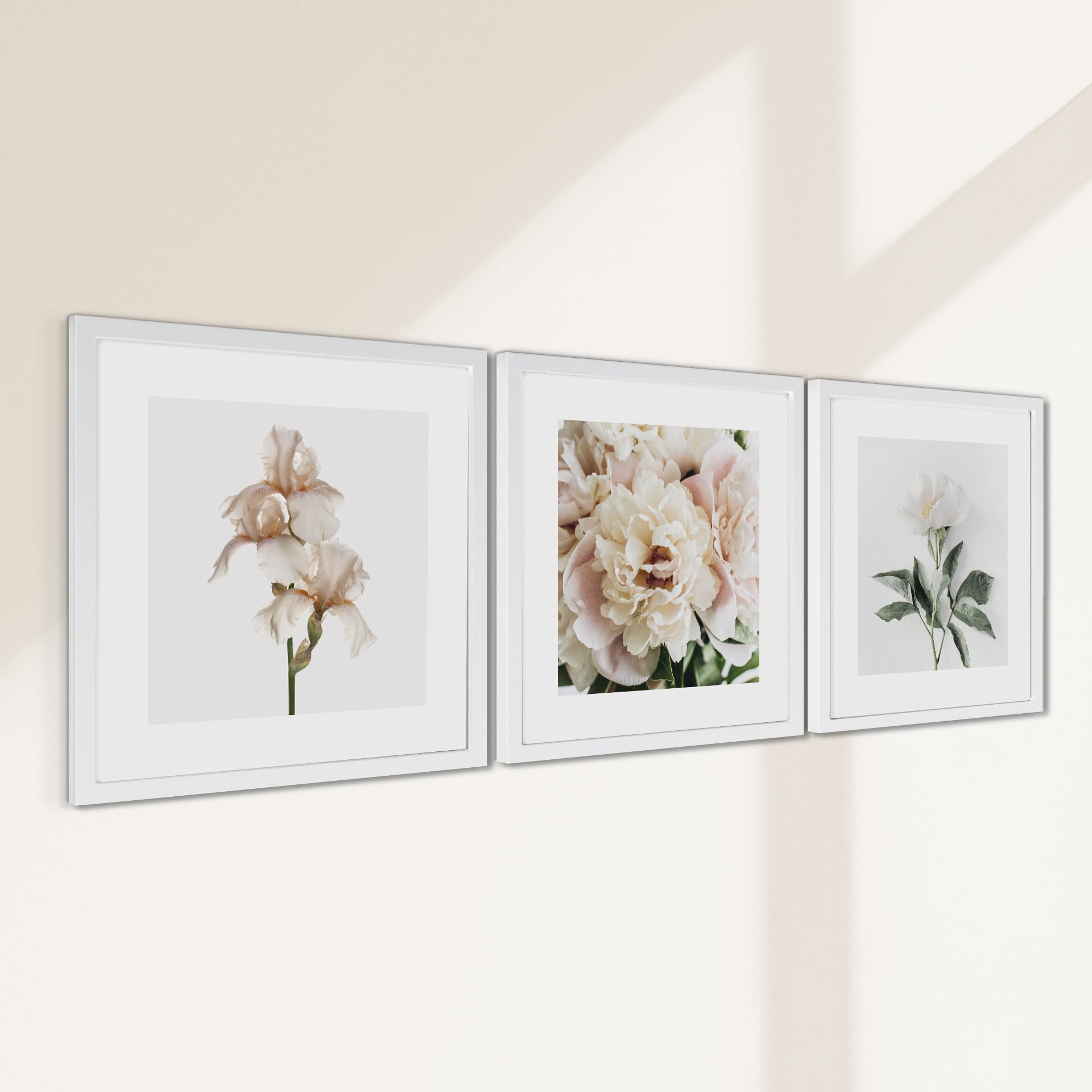 STYLER Zestaw obrazów Posy 3 x 30 x 30 cm (gotowy do zawieszenia) z wysokiej jakości białą drewnianą ramą – delikatne motywy kwiatowe do Twojego domu – beżowe, kremowe, naturalne, minimalistyczne