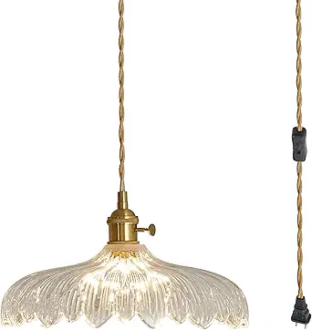 Oyisen Plug in Pendant Light, Clear Glass Shade Hanging Light, Industrial Pendant Light for Entryway, Dinning Room Lighting Fixture, Bedroom, Kitchen Island