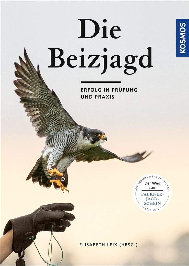 Beizjagd: Vor und nach der Falknerprüfung