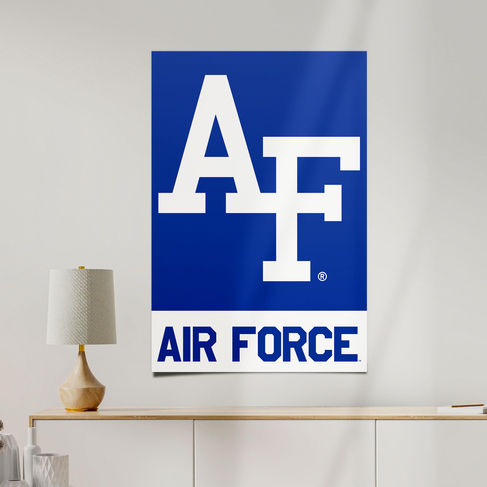 Amazon.com: Desert Cactus United States Air Force Academy Poster
