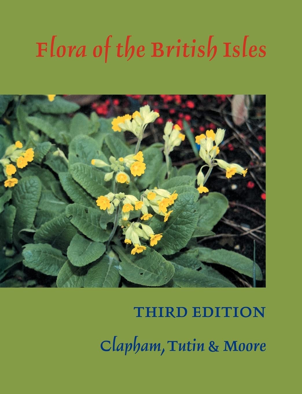 Flora of the British Isles-A. R. Clapham
