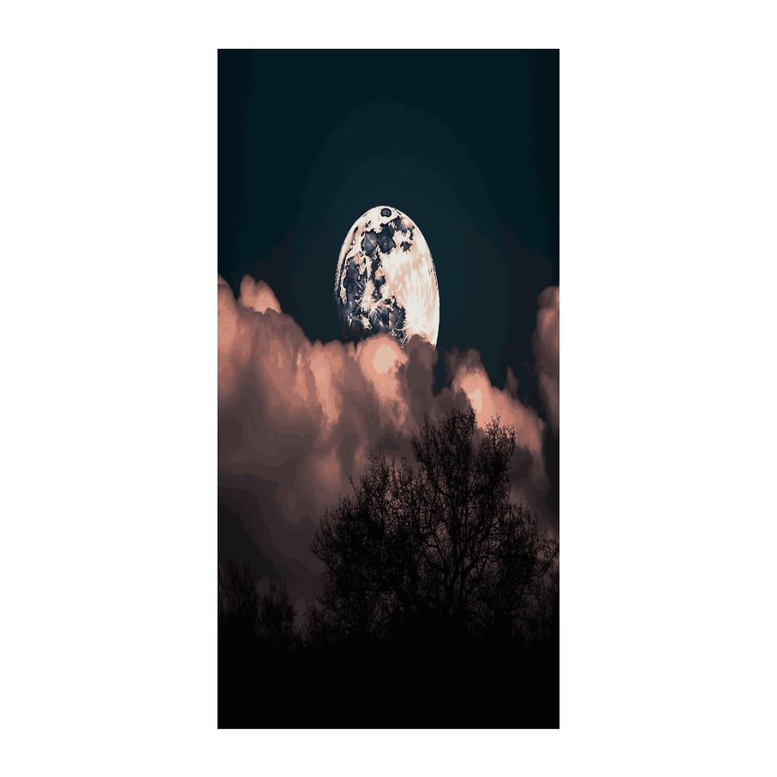 Fekiloot Style Full Moon Door Curtain Room Divider Curtains