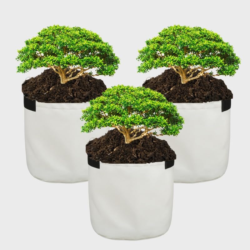 See full amazon price history chart for WET FREE Grow Bag (Garden Plant Bag) | 15X15 (43 Litre) | Pack Of 3 | 750 Gsm, White | Best For Home, Terrace, Balcony, Hotel, And School Gardening High Strength, Uv-Stabilized And High Durability WET FREE Grow Bag (Garden Plant Bag) | 15X15 (43 Litre) | Pack Of 3 | 750 Gsm, White | Best For Home, Terrace, Balcony, Hotel, And School Gardening High Strength, Uv-Stabilized And High Durability (B0D7MG46HK) Amazon Price History, Amazon Price Tracker
