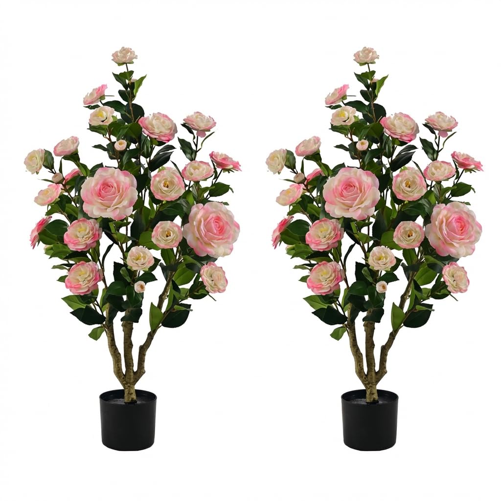product_img5